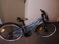 MTB Revox Bergamont Mountainbike 24 Zoll blau Nordrhein-Westfalen - Gladbeck Vorschau