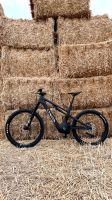 CANYON Spectral:ON 8 CF | E-Bike Rheinland-Pfalz - Mendig Vorschau