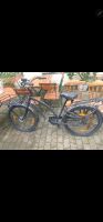 Fahrrad Electra schwarz/Gold Neuhausen-Nymphenburg - Neuhausen Vorschau