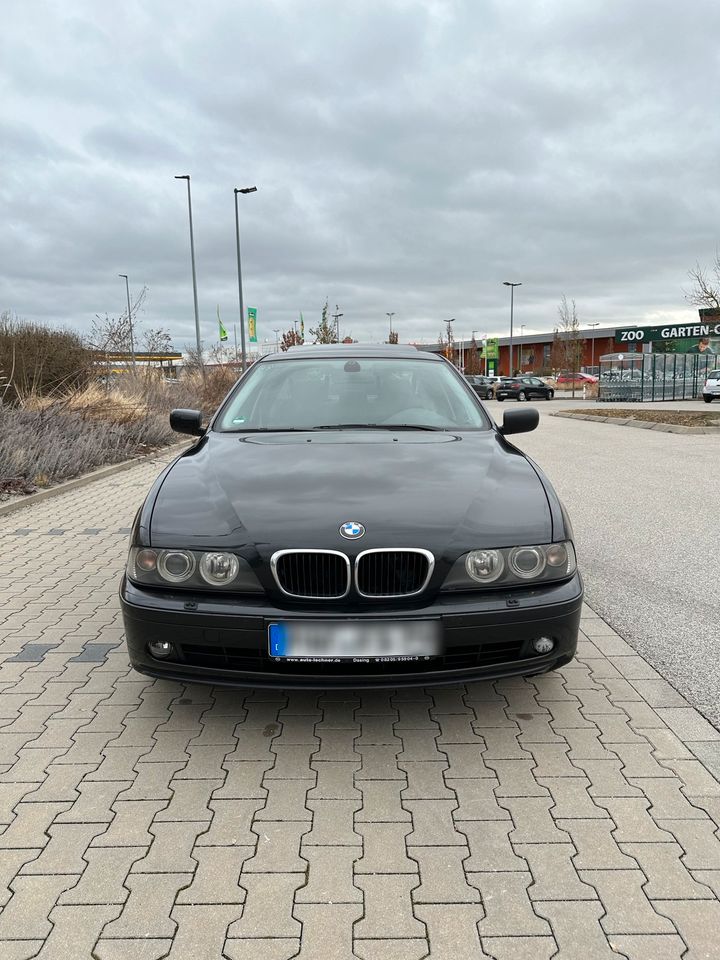 BMW 525i E39 in Manching