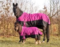 Winterdecke 100g Füllung 600D BASICLINE beere/schwarz Aachen - Verlautenheide Vorschau