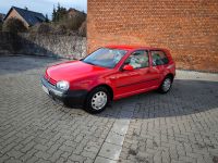 Volkswagen VW Golf 4  1.4 rot TÜV neu! Nur 43 tkm!! Niedersachsen - Harsum Vorschau