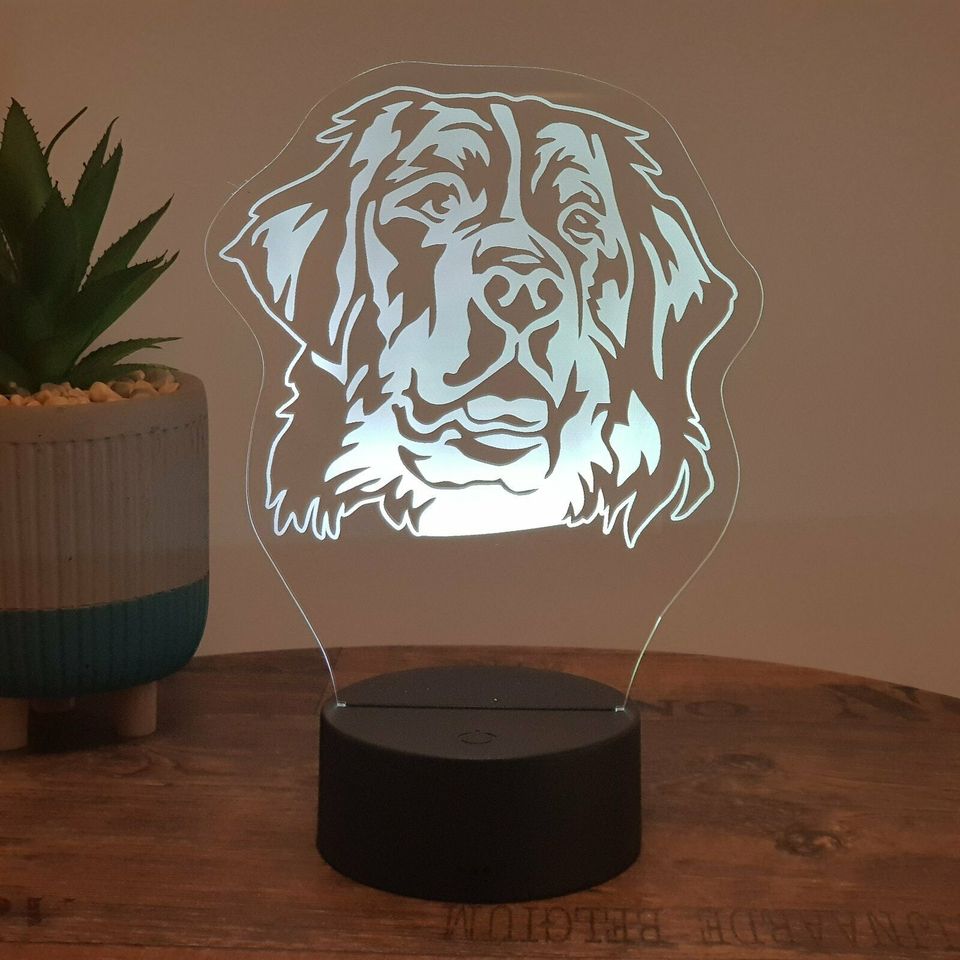 LED Lampe Berner Sennenhund in Schülp bei Rendsburg