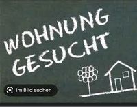 Wohnung/ Doppelhaushälfte/ Reihenhaus in Kropp gesucht Schleswig-Holstein - Kropp Vorschau