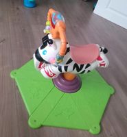 Rodeo- Zebra für Kinder Niedersachsen - Weyhe Vorschau