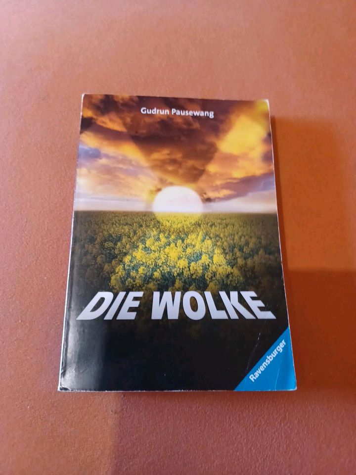 Die wolke Buch in Nürnberg (Mittelfr)