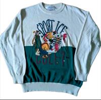 Iceberg Sport Golf Pullover Eisbär  Gr. XL Vintage 80s 90s Sachsen - Chemnitz Vorschau