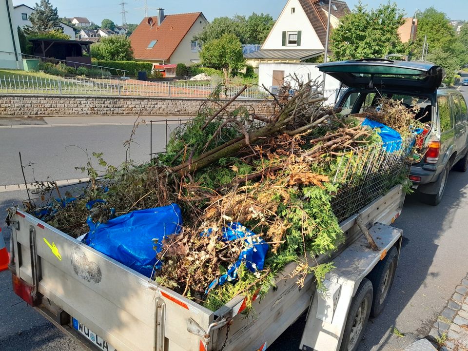 Entsorgung Transport Grüngut Schnittgut Baumschnitt Gartenpflege in Würzburg