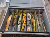 Bigbaits, Pike, Gummifisch, Savage gear Set Bayern - Essing Vorschau