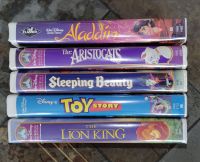 5x VHS Disney NTSC - Aladdin, Lion King, Sleeping Beauty Rheinland-Pfalz - Birkenfeld Vorschau