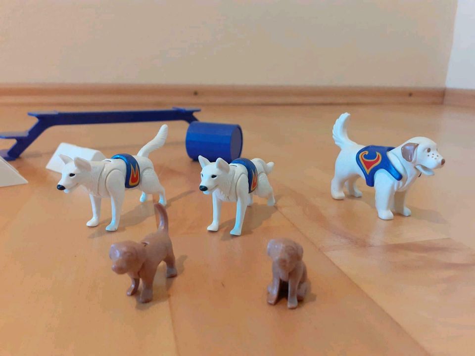 Hundedressur von Playmobil #4237, sehr guter Zustand in Hamburg