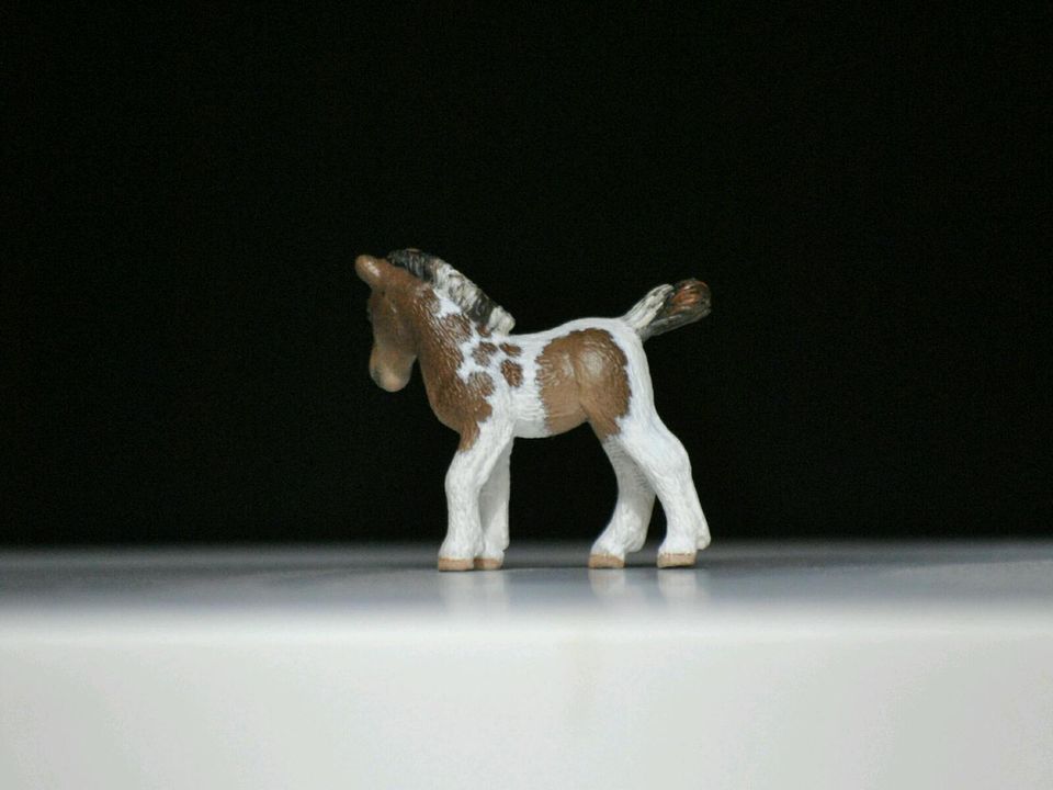 Schleich Pferd Repaint in Hamburg