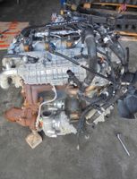 Motor IVECO DAILY 3.0 HPI 180ps F1CGL411B 11TKM KOMPLETT Nordrhein-Westfalen - Leverkusen Vorschau