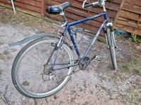 Hercules Bali Trekkingfahrrad 28 Zoll Niedersachsen - Bad Fallingbostel Vorschau