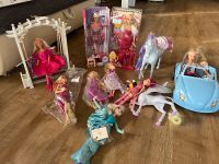 Diverse Barbies Kreis Pinneberg - Klein Nordende Vorschau