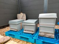 Bienenbeute Zander Maß Bienen Bienenkasten Imkerei Imkereibedarf Sachsen-Anhalt - Magdeburg Vorschau