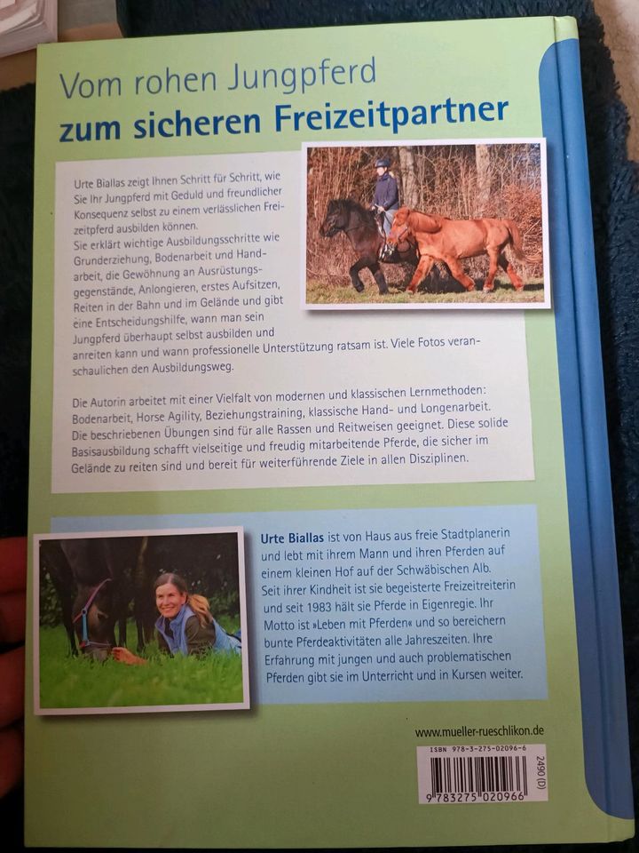 Jungpferde selbst ausbilden in Osterode am Harz