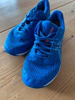 Sportschuhe asics 40 Baden-Württemberg - Müllheim Vorschau