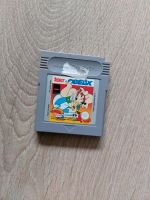 Gameboyspiel Asterix und Obelix Gameboy Nordrhein-Westfalen - Lindlar Vorschau