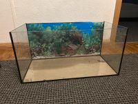 54Liter Aquarium Sachsen-Anhalt - Wolmirstedt Vorschau