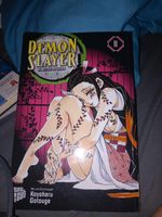 Demon slayer 11 Bergedorf - Hamburg Allermöhe  Vorschau