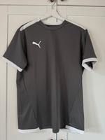 Puma Sportshirt sportoberteil grau Rheinland-Pfalz - Hagenbach Vorschau