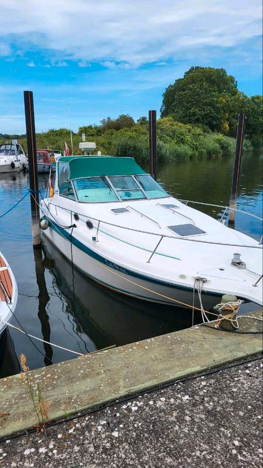 Sea Ray Sundancer 290 Motorsportboot in Hamburg