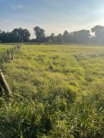 Suche Weideland/Grünland zum Kauf Niedersachsen - Neu Wulmstorf Vorschau