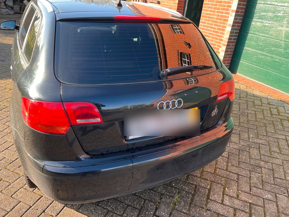 Audi A3 8P S-Line in Aurich