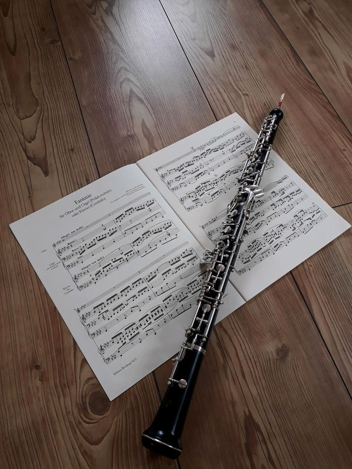 Oboe spielen lernen in Schmalfeld