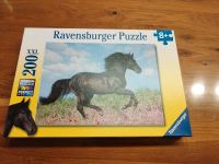 Ravensburger Puzzle 200 Teile schwarzer Hengst - Pferdepuzzle Bayern - Wenzenbach Vorschau