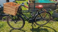 Hollandrad Fahrrad Herrenrad Nordrhein-Westfalen - Kerpen Vorschau