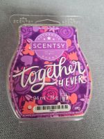 SCENTSY BAR TOGETHER 4 EVER Nordrhein-Westfalen - Bergkamen Vorschau