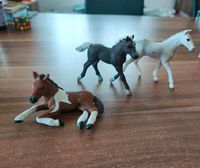 Schleich Fohlen Baden-Württemberg - Gerstetten Vorschau