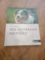 Der Australien Shepherd Inga paffw Niedersachsen - Wunstorf Vorschau