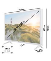 LED Fernseher in Weiß (80 cm/32 Zoll,Telefunken Niedersachsen - Ebstorf Vorschau