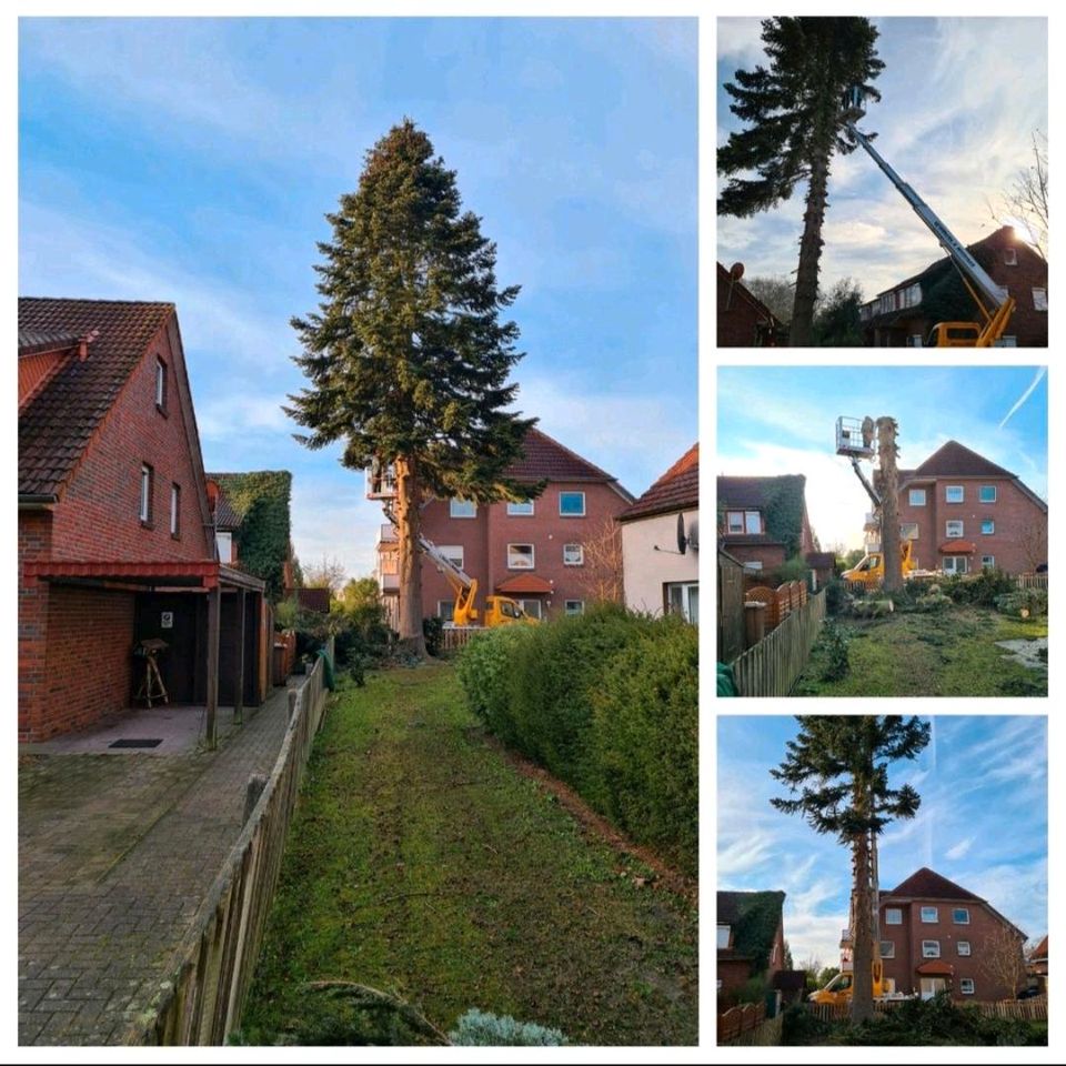 Dienstleistungen rund um Haus und Garten in Wilhelmshaven