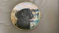 2x Franklin Mint Sammelteller Labrador Hessen - Stadtallendorf Vorschau