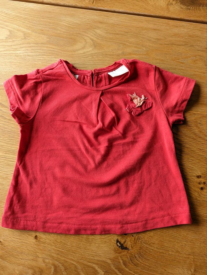 T-Shirt Zara Gr. 68 in Staufenberg