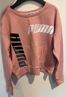 Puma Pinker Hoodie XS/S 7€ € fast neu Baden-Württemberg - Seelbach Vorschau