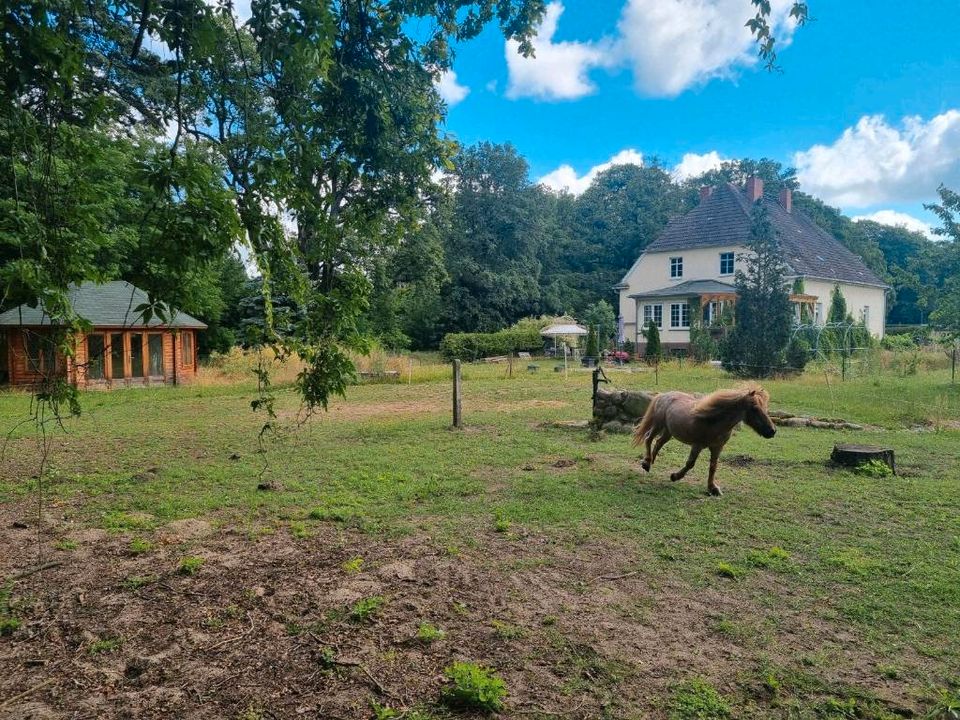 Landhaus mit Pferdekoppel in Viesecke