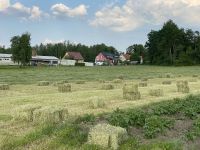 Heu, Heuballen, HD-Ballen, Klein Ballen Sachsen - Wittichenau Vorschau