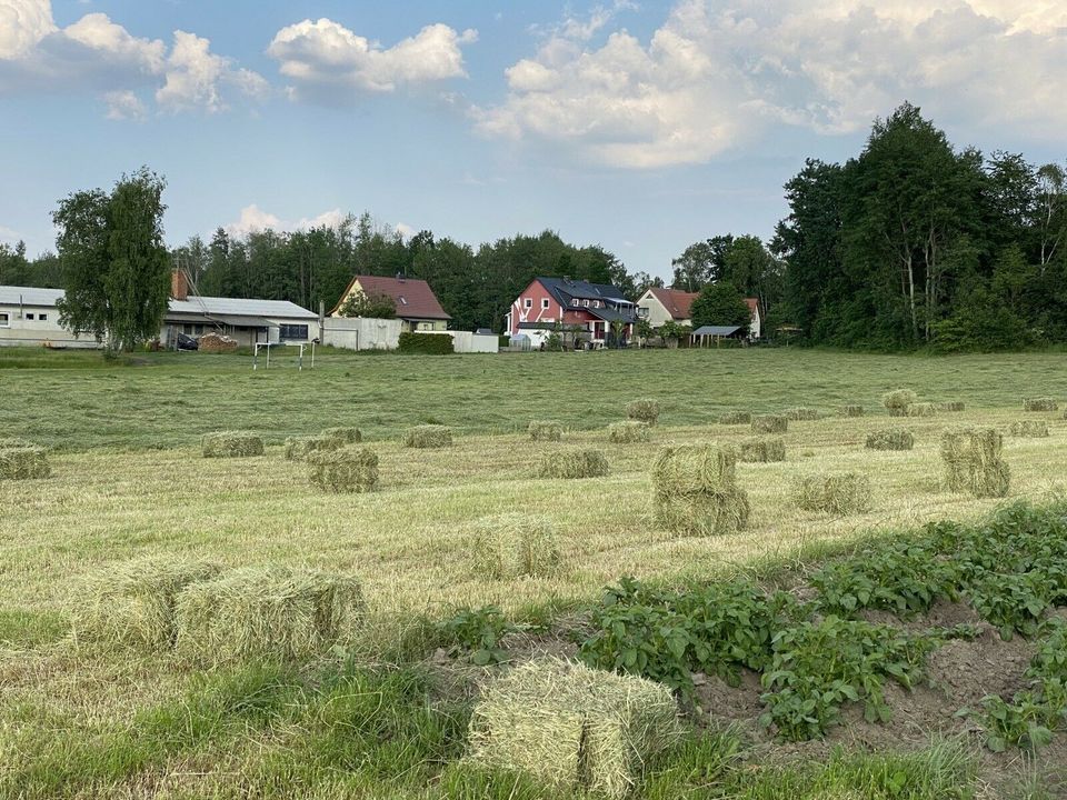 Heu, Heuballen, HD-Ballen, Klein Ballen in Wittichenau