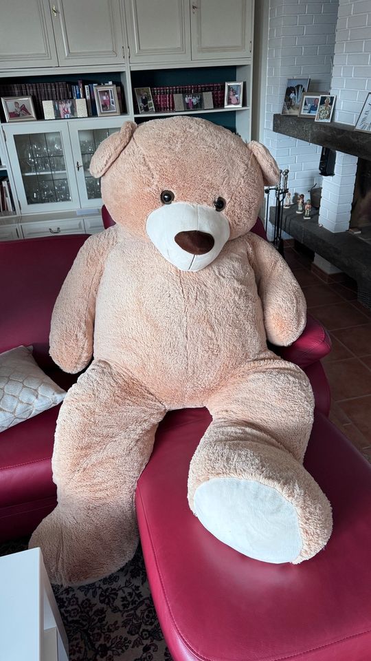 XXL Lebensgroßer Teddy Plüsch 150cm neu in Eimsbüttel - Hamburg Niendorf |  Kuscheltiere günstig kaufen, gebraucht oder neu | eBay Kleinanzeigen ist  jetzt Kleinanzeigen