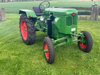 Normag F22 Traktor Oldtimer zu verkaufen Nordrhein-Westfalen - Sassenberg Vorschau