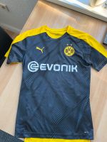 BVB Trikot Brandenburg - Oranienburg Vorschau