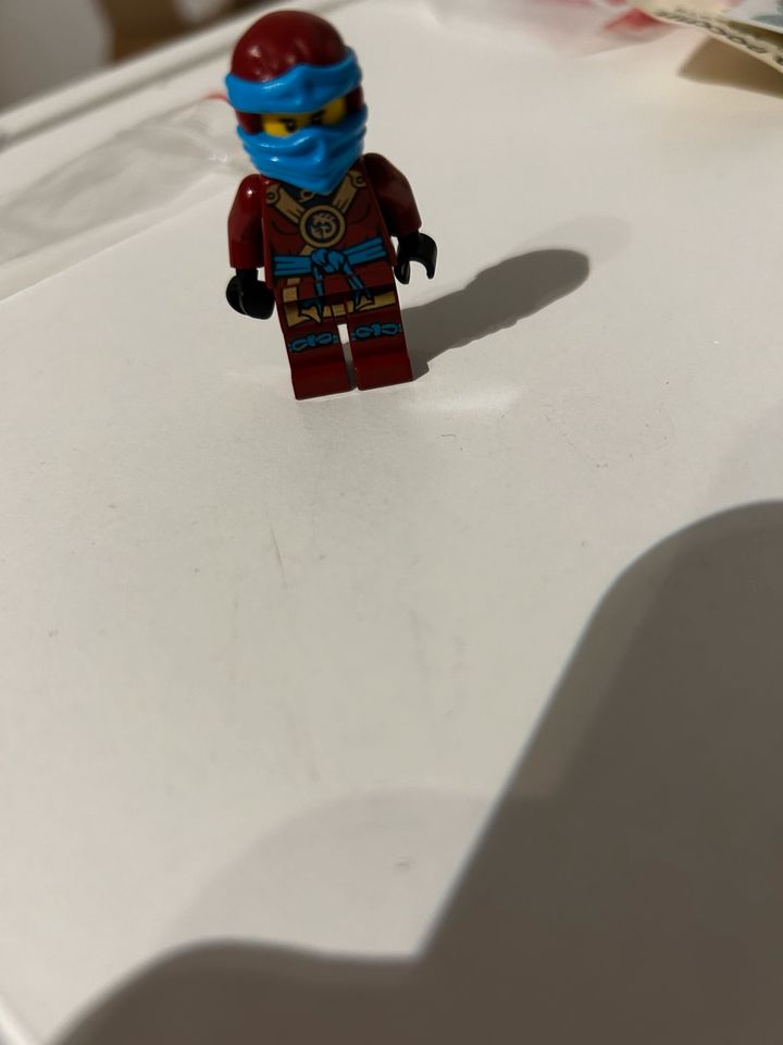 Nya Lego Ninjago in Altenriet