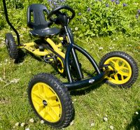 BERG Buddy Cross 2.0,gelb|schwarz,Soundbox,Rundumlicht,NP 380€ Schleswig-Holstein - Wendtorf Vorschau