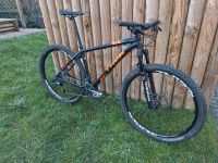 29" MTB Trek X-Caliber 8 - Gr. L Dresden - Cotta Vorschau