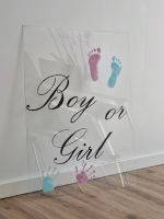 Gender reveal Babyparty Schild Plexiglas Acryl Hobbyglas Berlin - Mahlsdorf Vorschau